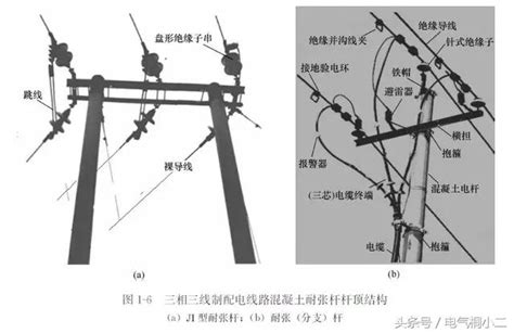 電線桿構造|電線桿